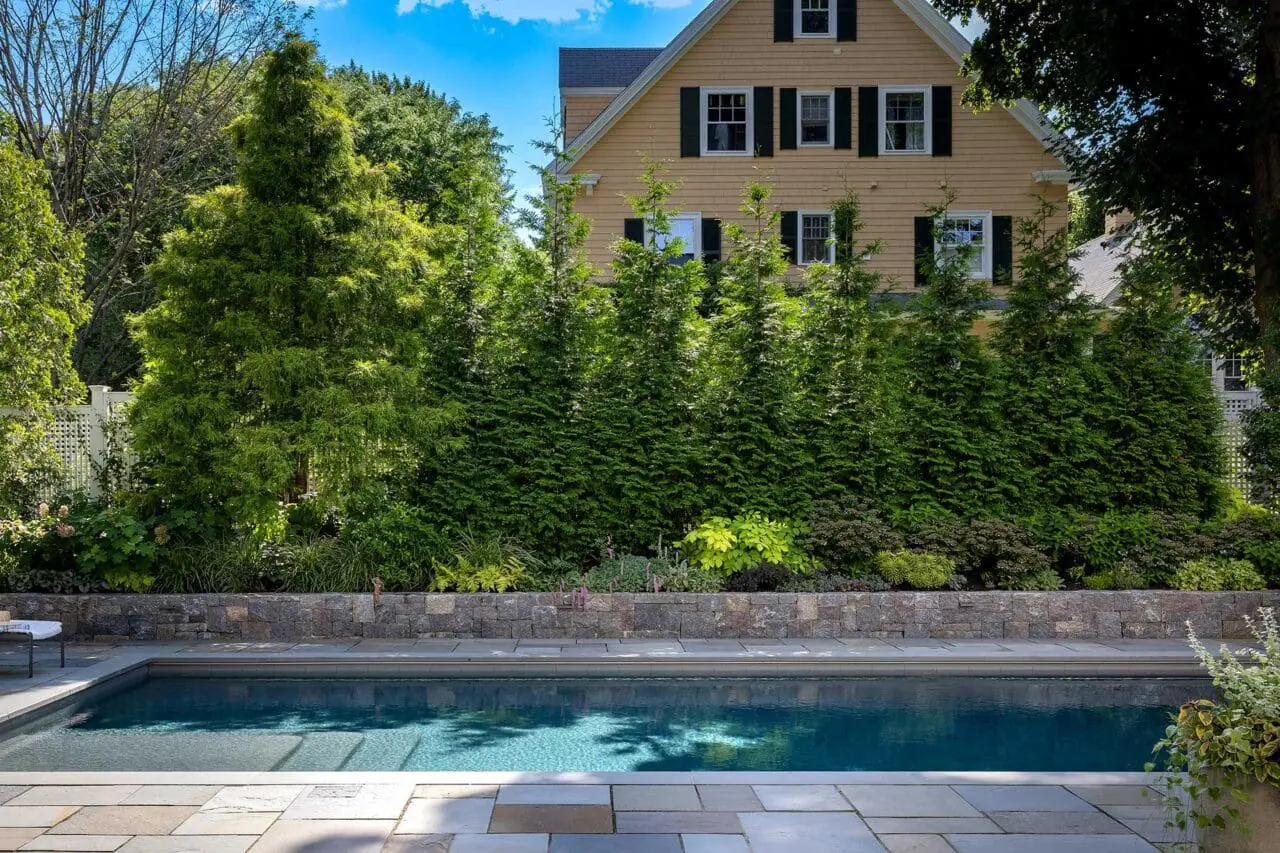 Green Giant Arborvitae screening wall