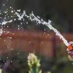 Hand holding a garden hose with water spraying in an arc across a backyard garden.