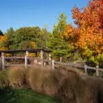 Sustainable Landscaping Explained: Smarter Landscape Design for Long-Term Value