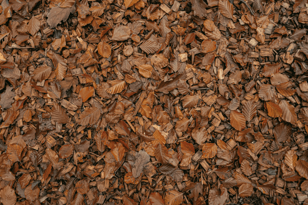 leaf mulch in Wayland, MA 01776