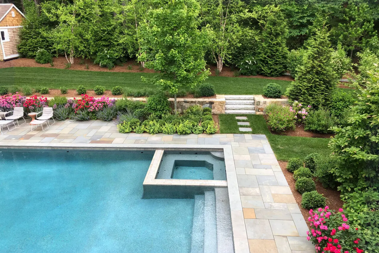 Needham, MA - Thoughtful spacing allows plants to connect where intended while preserving room around paths, steps, and larger specimens.