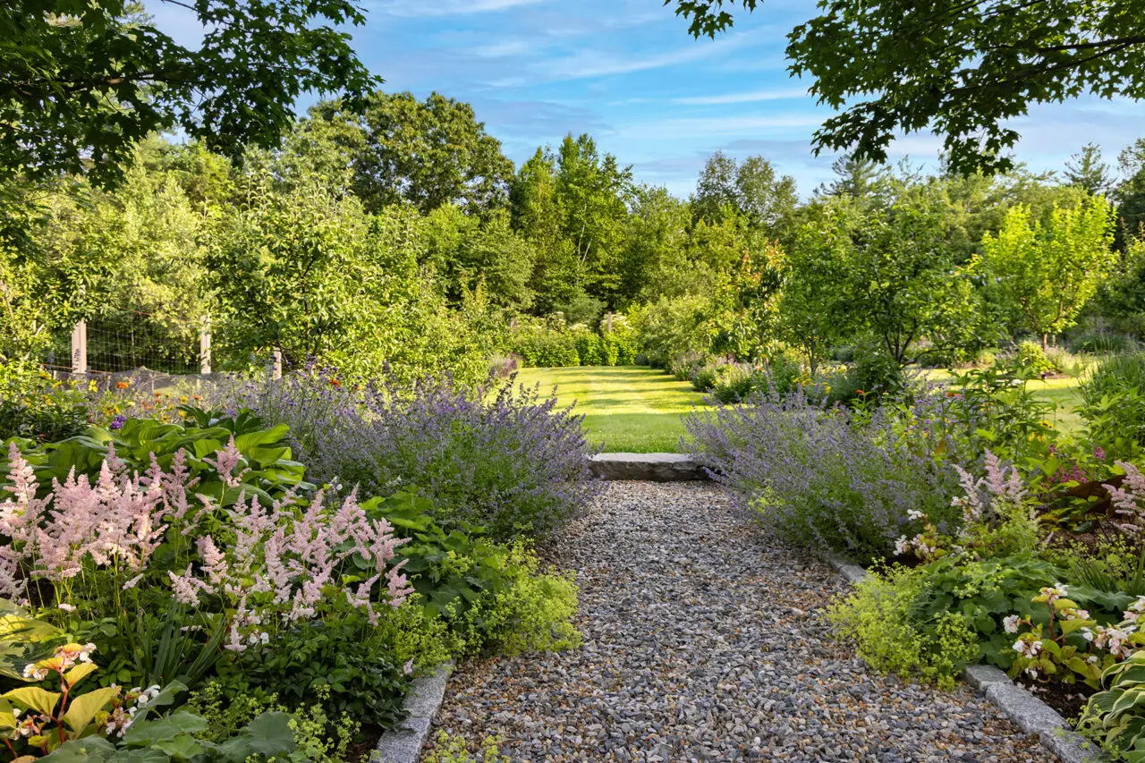 A gravel path reinforces a strong lawn axis, guiding views and movement through structured perennial borders. Photo: Warren Patterson