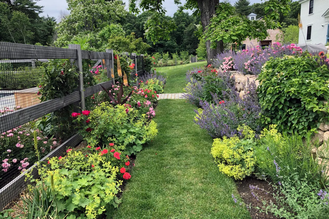 A garden path runs beside layered perennials and fencing, guiding circulation while enhancing seasonal interest and enclosure.