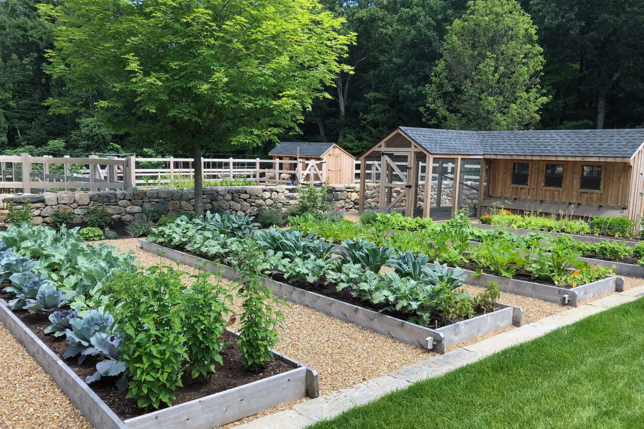 Elevated planting beds are contained by stone walls that improve drainage, accessibility, and visual order within the productive garden.