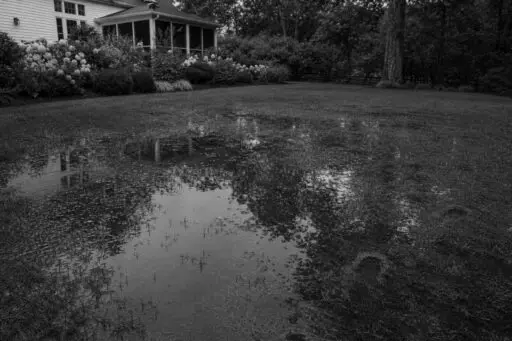 Sudbury, MA - Standing rainwater pools across a saturated backyard lawn after a storm.