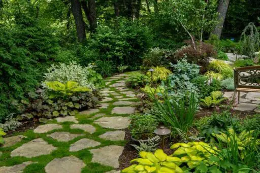 Brookline, MA - A lush woodland garden with a winding stone path, layered foliage, and shade-loving plantings, featured by Martha Stewart for its charming, naturalistic design.