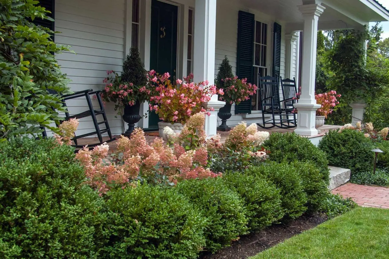 belmont, ma front porch entryway hedges