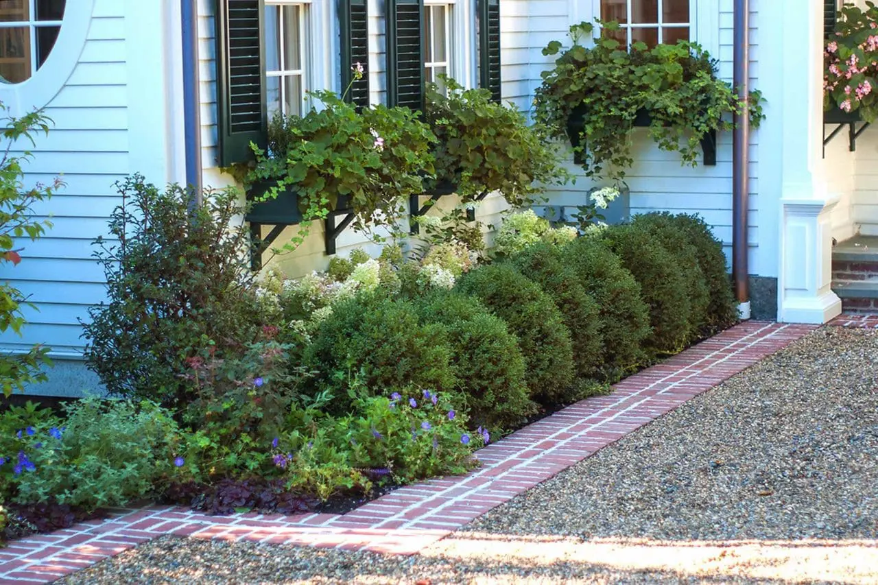 driveway peastone gravel and brick border with hedges
