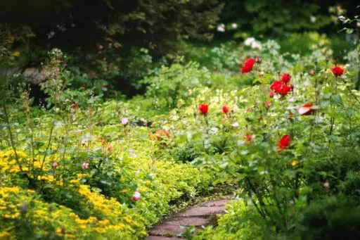 Historic Gardens for Victorian Homes