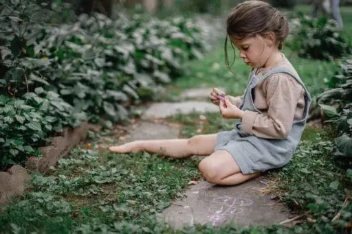 Gardening in 2020: The Pandemic Effect