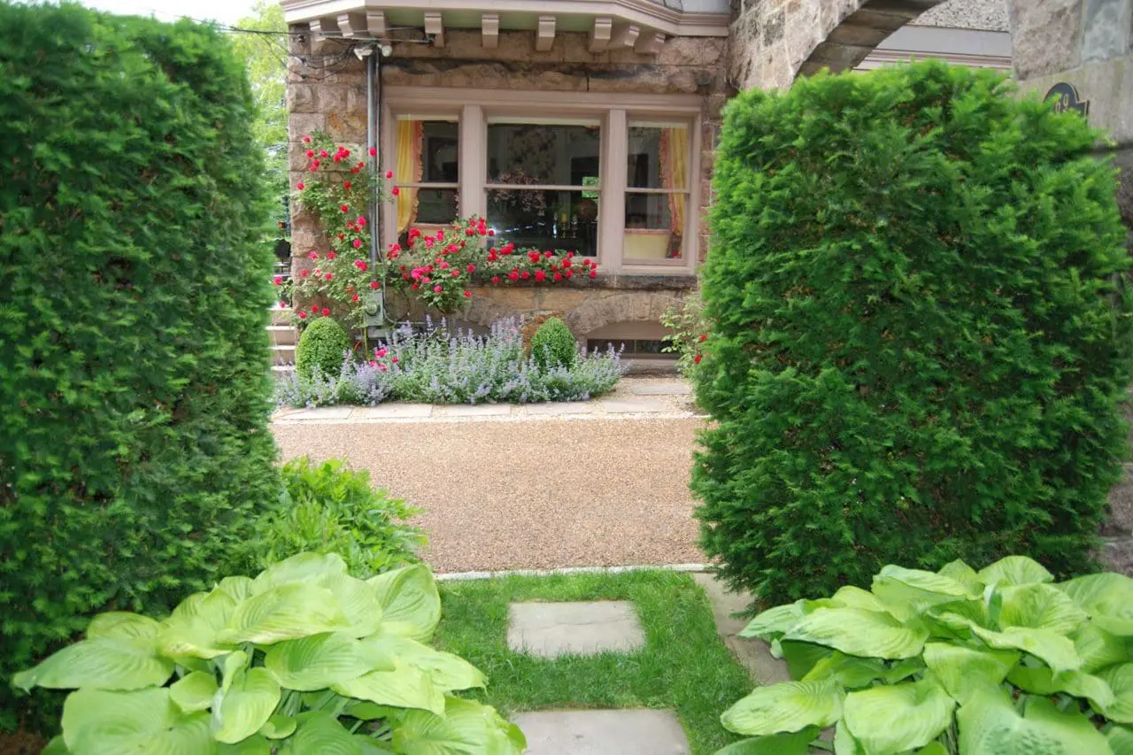 Brookline, MA - Climbing rose softens the stone facade of the residence and provides a pop of color.