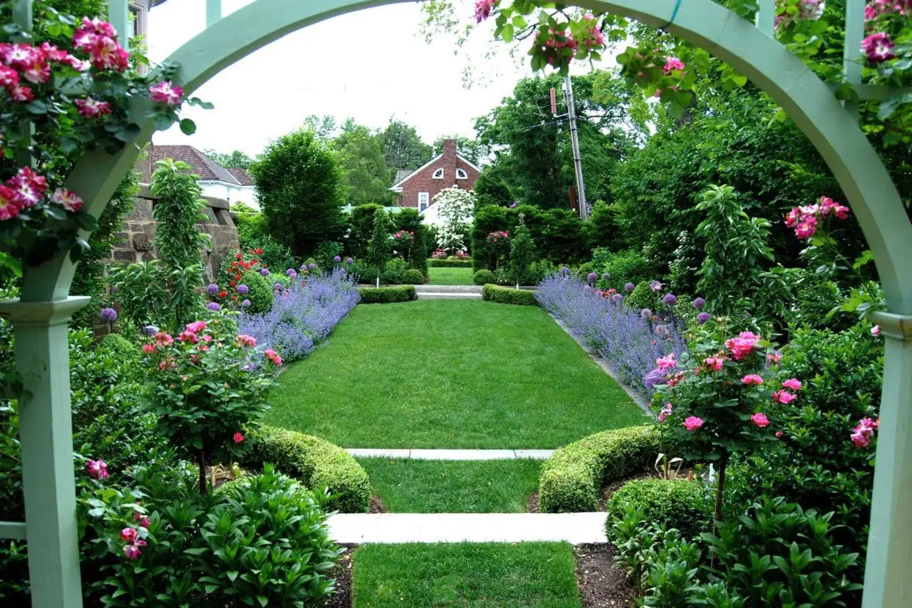Brookline, MA - Climbing rose adorning this trellis frames the view beyond.