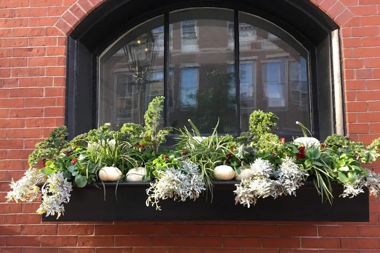 An arched brick window box filled with kale and pumpkins brings fall color to the facade, proving seasonal displays work beyond ground-level planters.