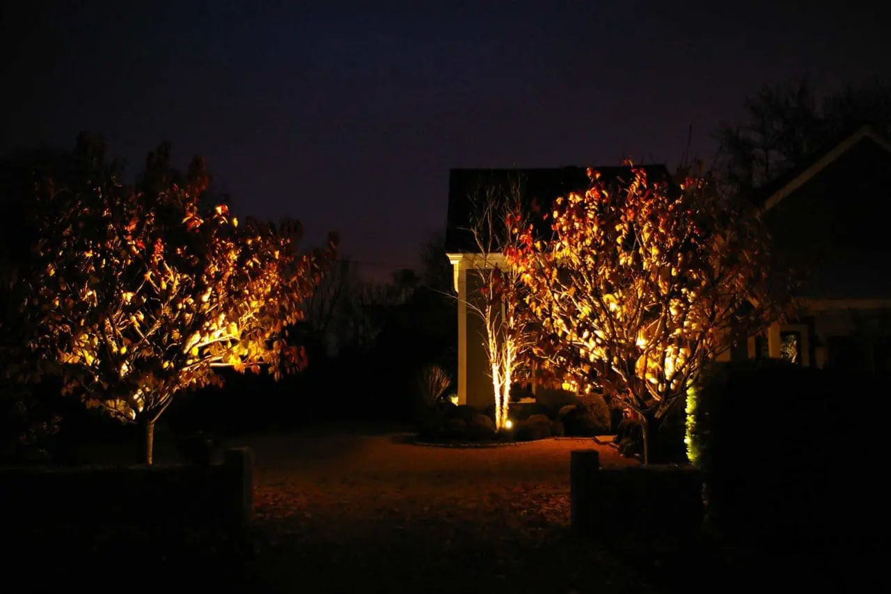 lighting - wayland, tree outdoor lighting in Wayland, MA