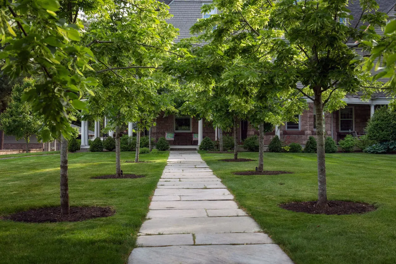 Irregular stone walkway moves through layered planting, softening circulation and blending seamlessly into a relaxed residential garden setting.