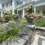 Grand stone urns filled with mixed annuals reinforce the formality of a summer garden while making seasonal color changes straightforward.