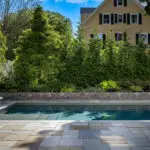 Arborvitae and ornamental trees shield the pool area from neighboring properties, improving comfort and visual separation.