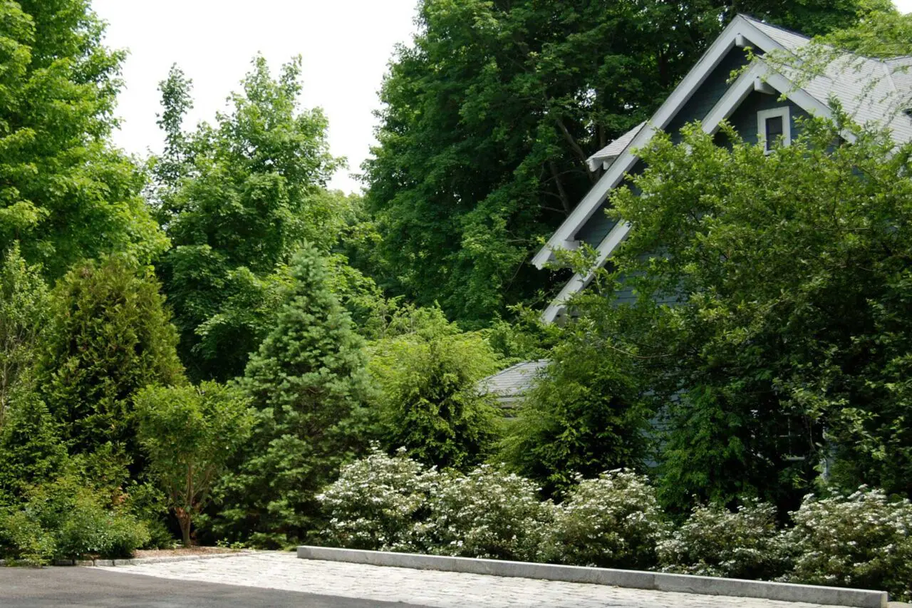 Layered shrubs and fencing reduce unwanted sightlines, helping define outdoor space while maintaining a natural residential feel.