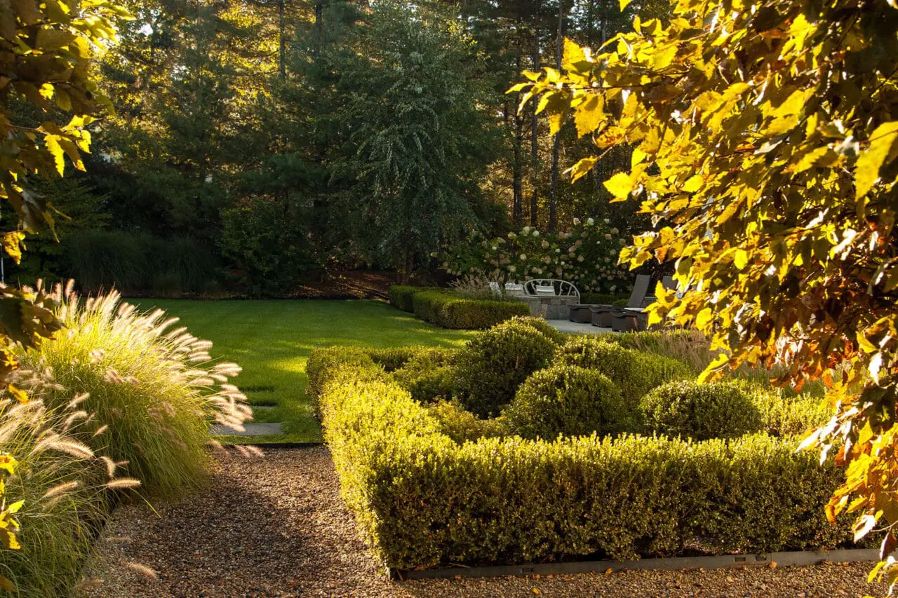 A clipped boxwood hedge lines this gravel path, creating crisp edges and autumn contrast while directing movement through the garden with timeless formality.