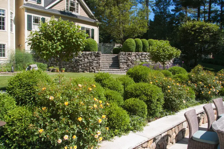 Formal boxwood hedges flank stone steps in this front garden, reinforcing symmetry, guiding circulation, and adding evergreen structure to the entry sequence.