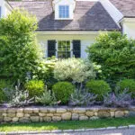 A mixed shrub border softens this stone retaining wall, combining evergreen structure and layered textures to define the front yard while improving drainage and visual depth.