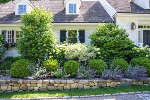 A mixed shrub border softens this stone retaining wall, combining evergreen structure and layered textures to define the front yard while improving drainage and visual depth.