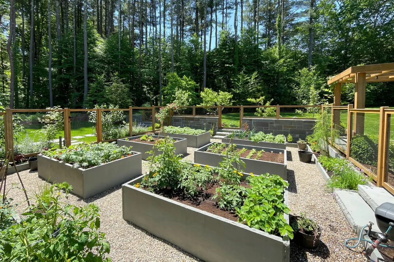 Container vegetable plantings and gravel paths create a flexible garden layout well suited to New England’s compact growing season.