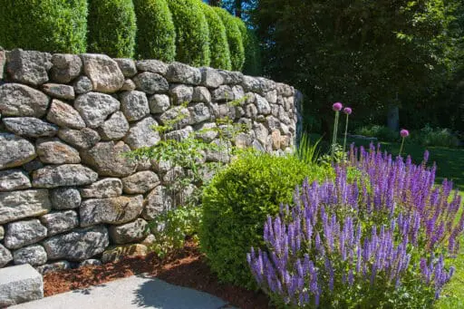 A dry-laid fieldstone retaining wall defines the garden edge, using irregular, hand-set stone to manage a subtle grade change while creating a low, natural boundary with a relaxed, timeless character.