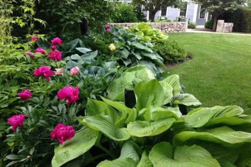 wayland farmhouse garden