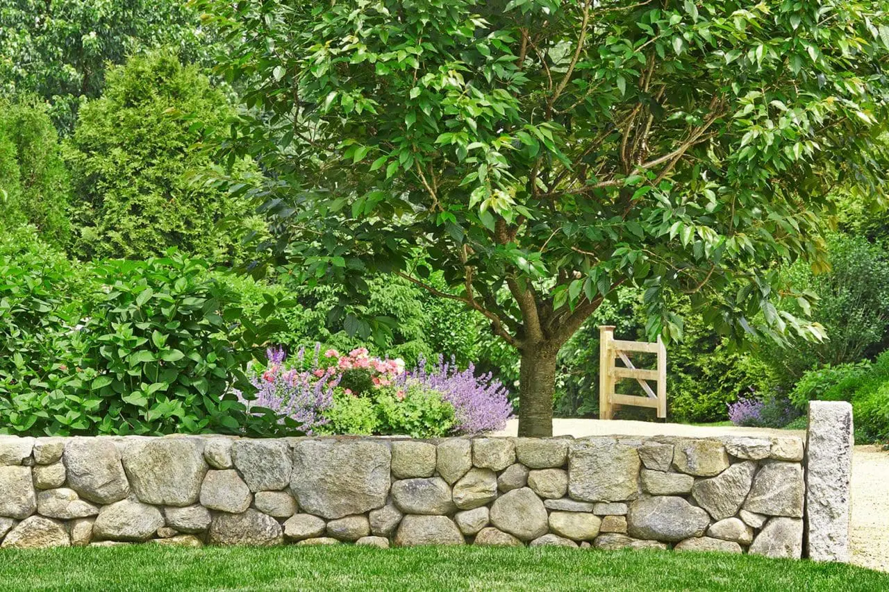 wayland stone dry wall with gate