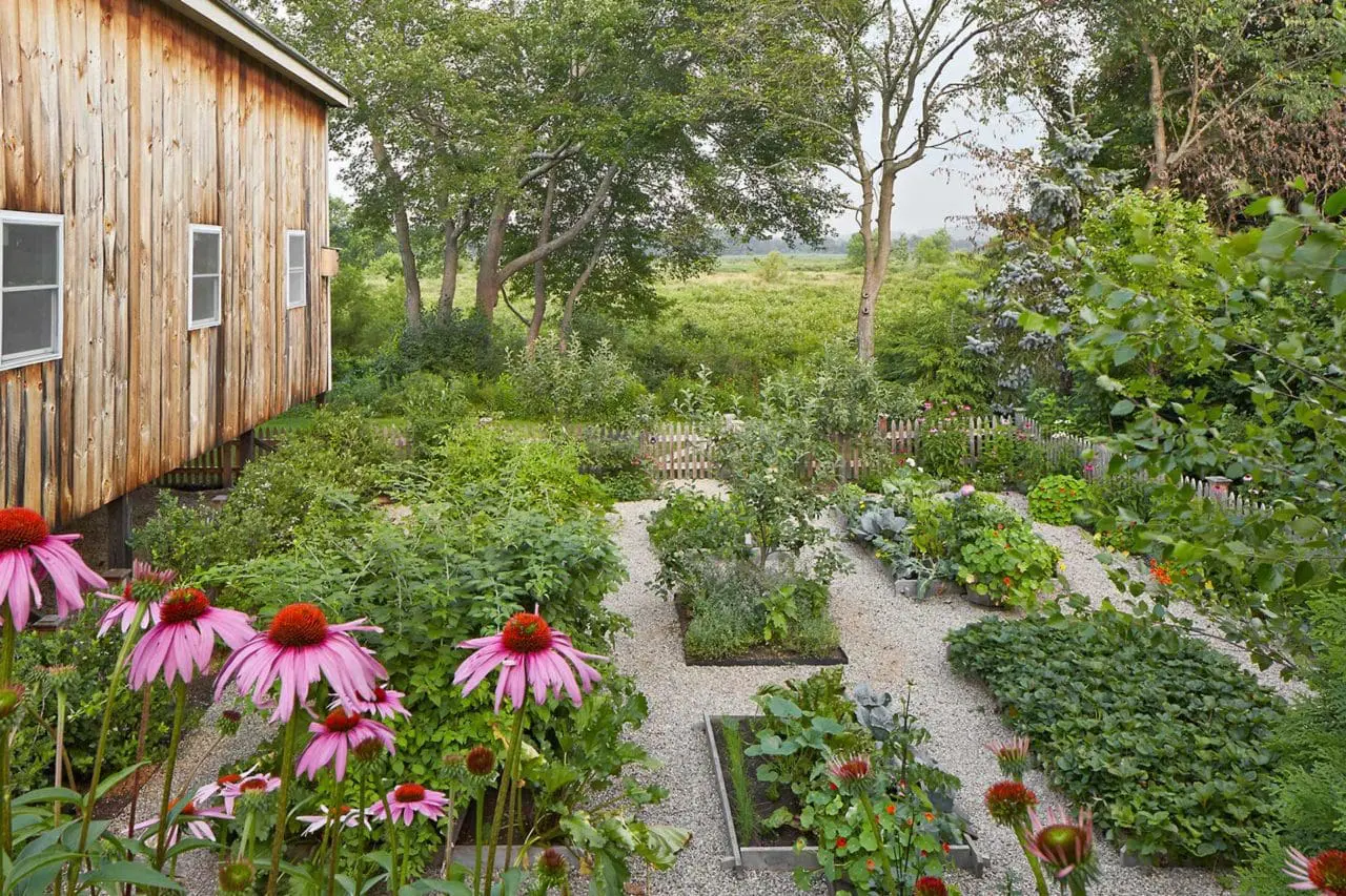 wayland vegetable garden design