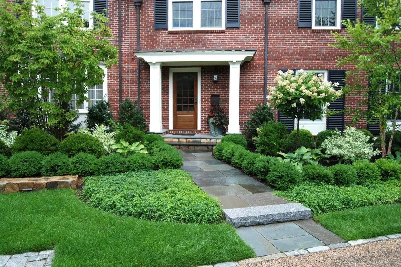 Wellesley Hills, MA - Boxwoods and vinca line the bluestone walkway under dogwood, birch, and hydrangea trees to create a garden right outside this entry.