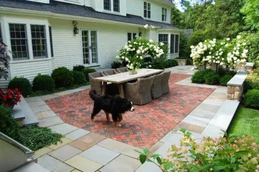 Wellesley Hills, MA - Hydrangea trees in the peak of summer blooming create a beautiful backdrop for outdoor dining.