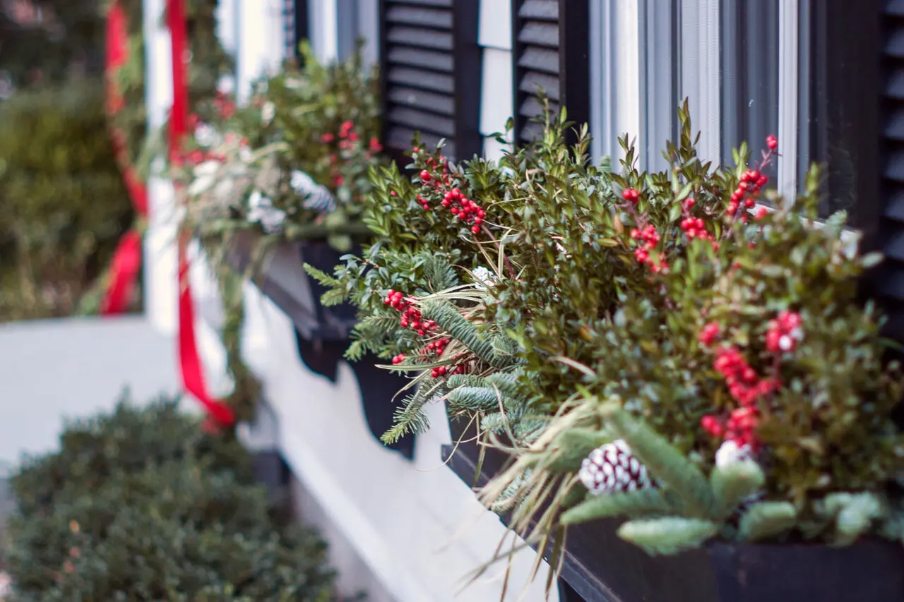 Close-up of a black metal holiday window box filled with fir branches, red berries, pine cones, and winter greens on a refined Brookline, MA home.