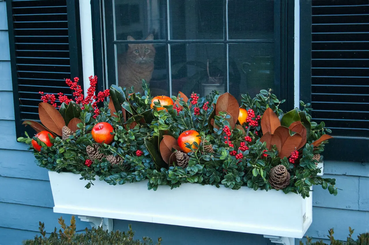 White wood winter window box featuring magnolia leaves, red berries, evergreen branches, and pine cones, creating a refined seasonal display at a Wellesley, MA residence.