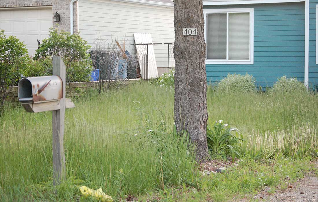 404, page not found, landscape design, a blade of grass