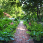 Hardscaping vs. Landscaping: What You Need to Know Before Hiring a Boston Landscape Company