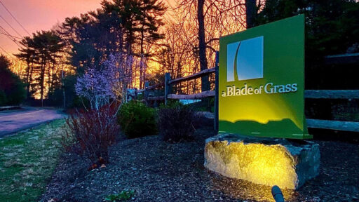 Local Ownership in a Changing Landscape Industry