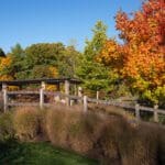 Sustainable Landscaping Explained: Smarter Landscape Design for Long-Term Value