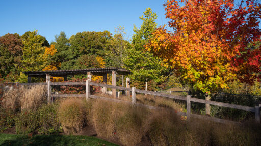 Sustainable Landscaping Explained: Smarter Landscape Design for Long-Term Value