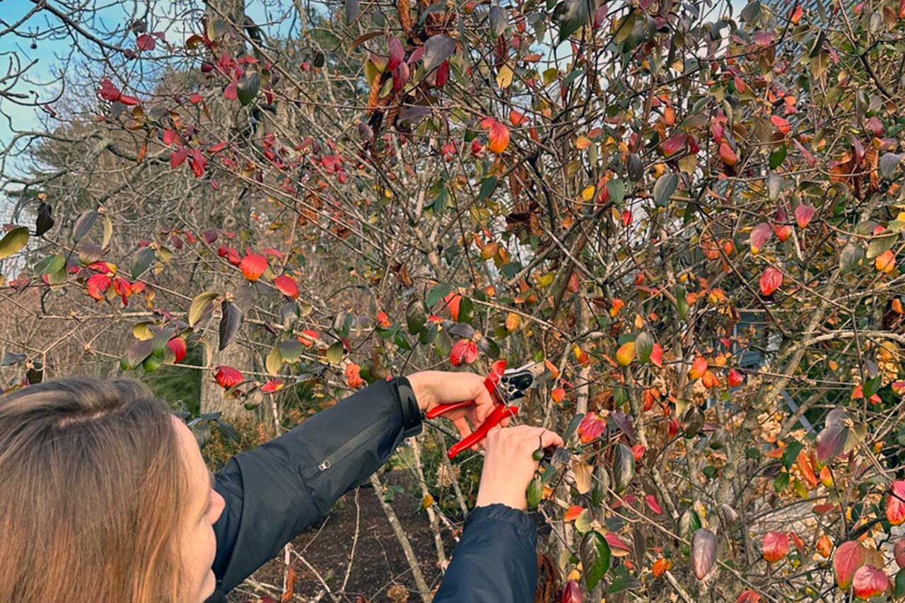 Structural Pruning