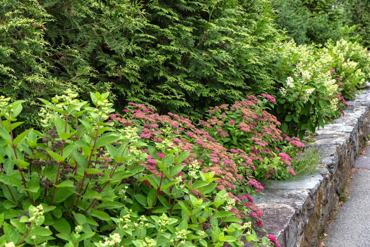 A layered planting bed of regionally adapted shrubs and perennials that provides seasonal color, texture, and structure while thriving in local growing conditions with minimal maintenance.