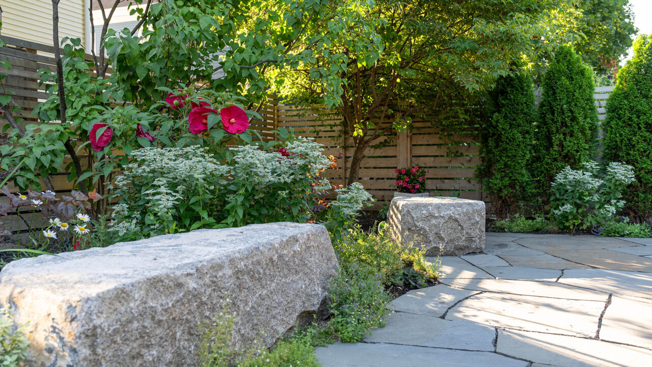 A curved bluestone garden path bordered by native plantings, flowering shrubs, and mature trees, with large granite seating stones and a modern wooden privacy fence creating a quiet, shaded backyard retreat.