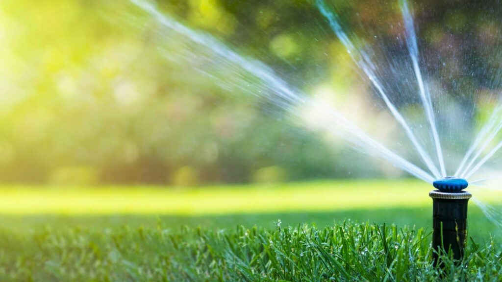 Keeping Your Landscape Healthy and Beautiful: When to Upgrade Your Irrigation System