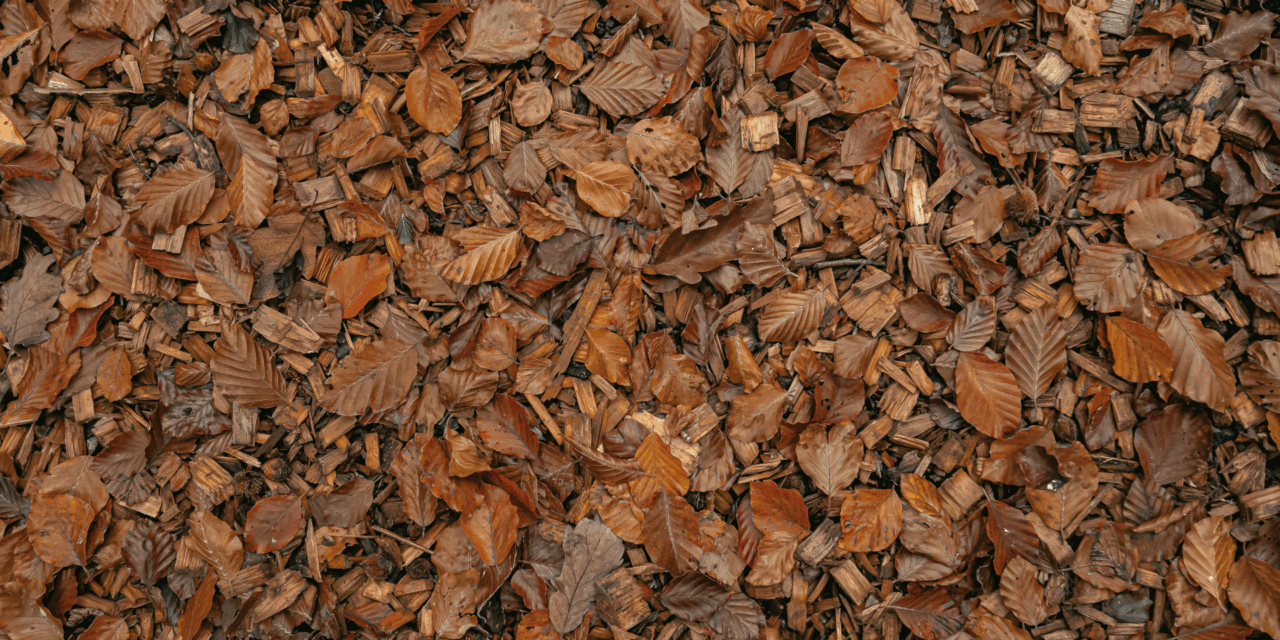 leaf mulch in Wayland, MA 01776
