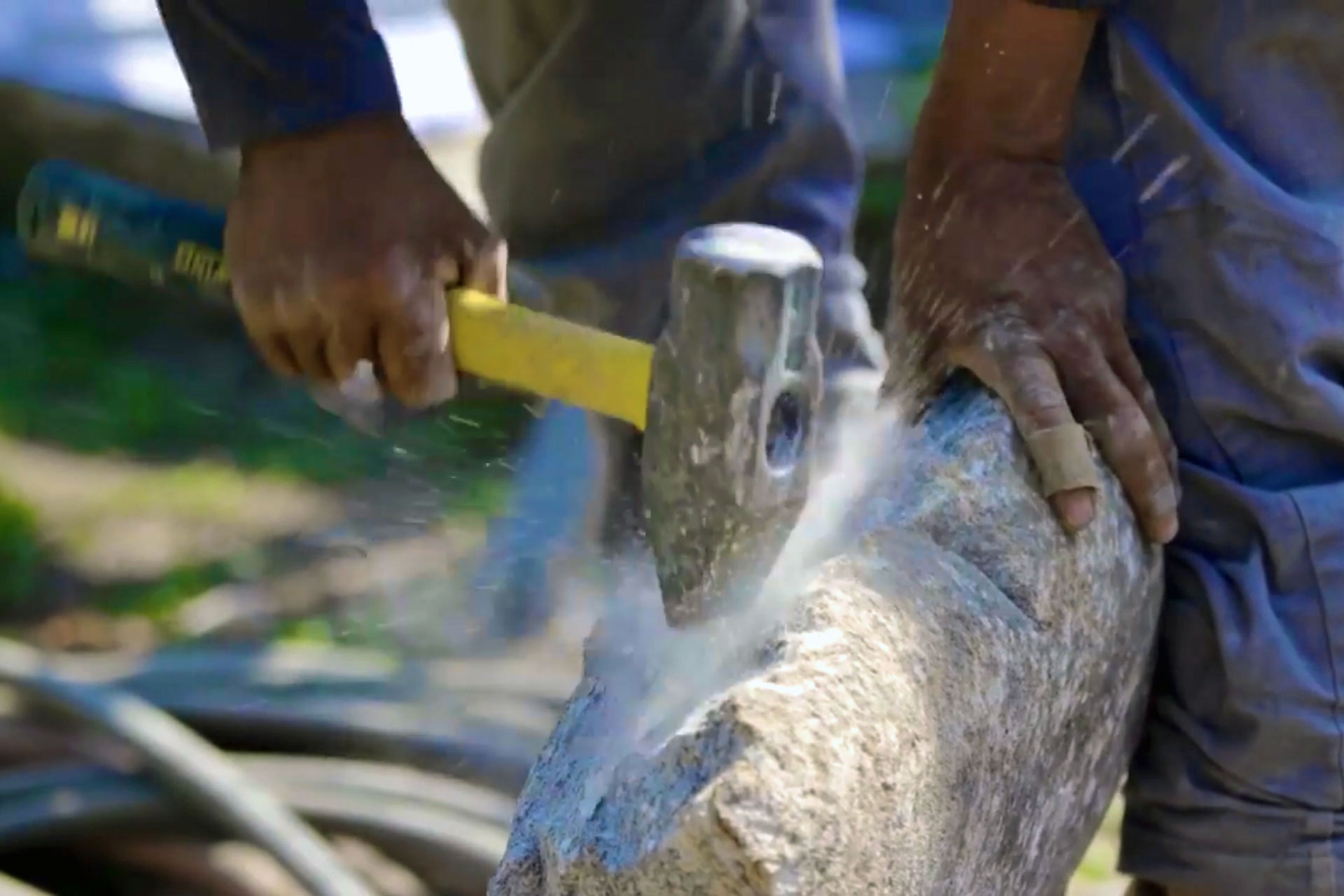 Collaboration shapes how we work, how we grow, and why our landscapes continue to earn industry recognition.