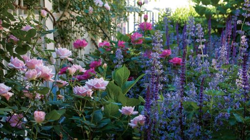 Cambridge Federal In Full Bloom | Boston Home Magazine