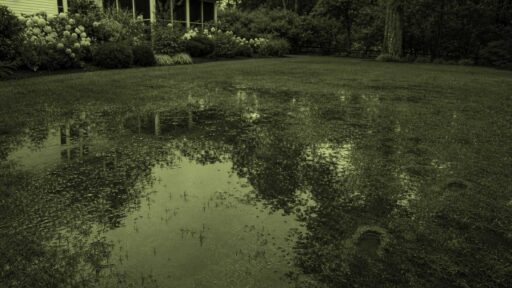 Sudbury, MA - Standing rainwater pools across a saturated backyard lawn after a storm.