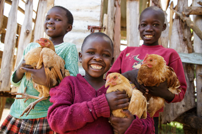Giving Back to Heifer International, charity