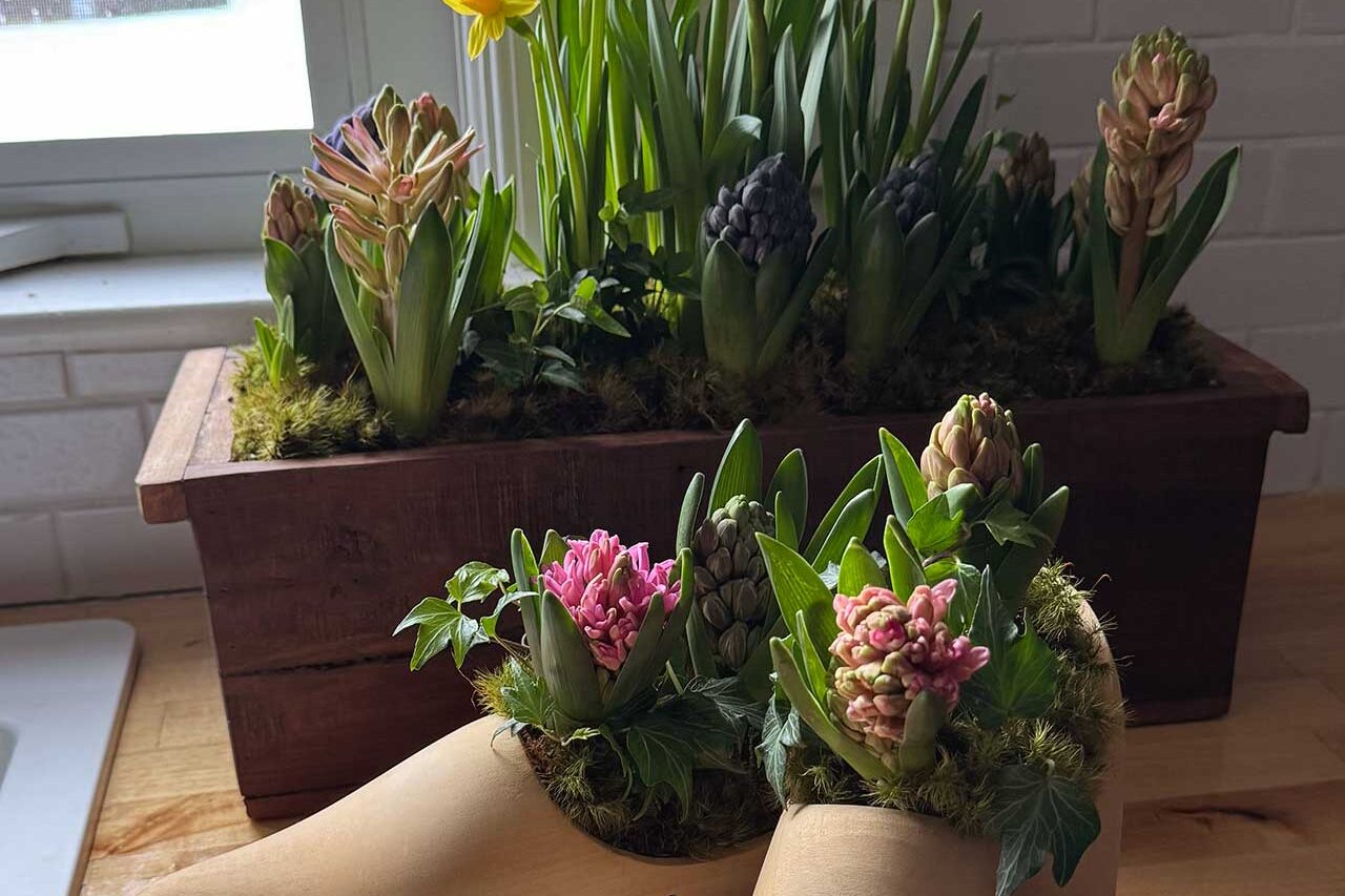 Spring bulb arrangement featuring daffodils and hyacinths, professionally layered and rotated seasonally to maintain fresh interior interest.